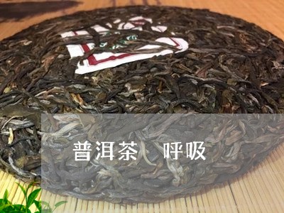 普洱茶 呼吸/2023042870091